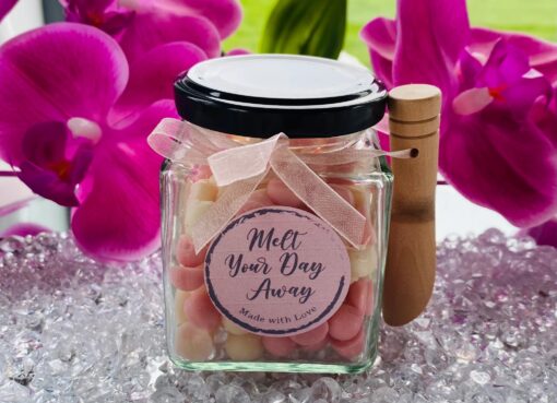 Melt Your Day Away - Wax Melts (La Vie Est Belle)